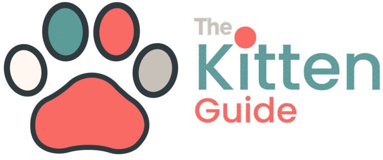 The Ultimate Kitten Care Guide Week by Week (0–12 Weeks)